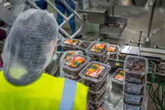 How to Source Food Packaging from International Suppliers