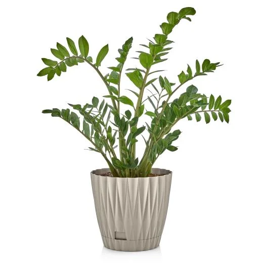 Oyster Flowerpot Collection