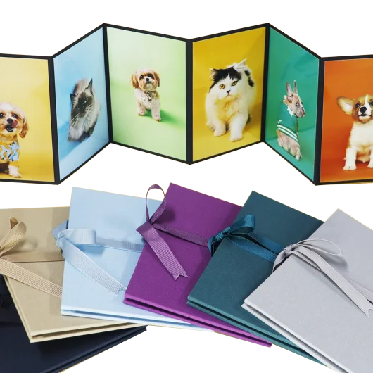 Leporello Accordion Photo Book
