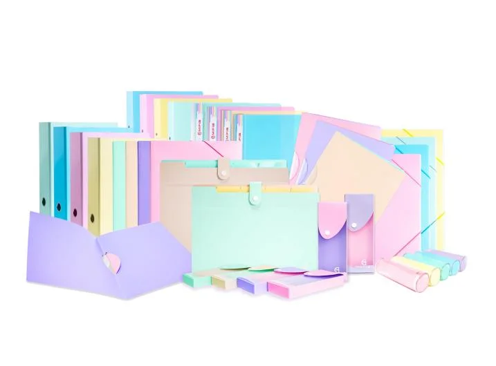 Document File Folder