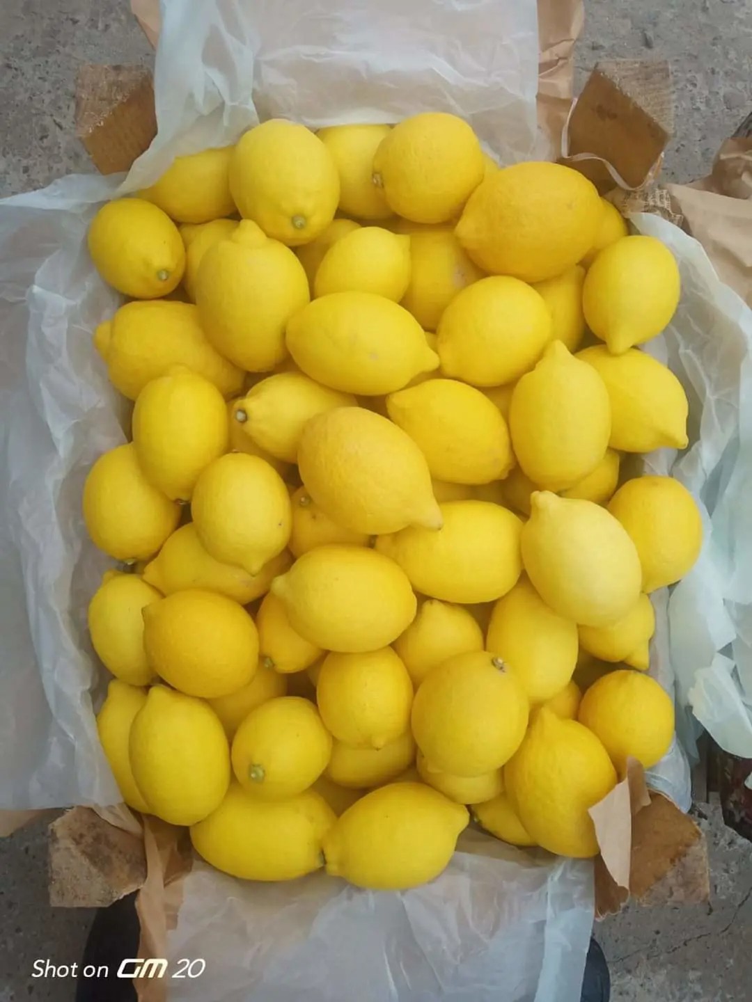 Pelbagai Buah-buahan dan Sayur-sayuran Segar