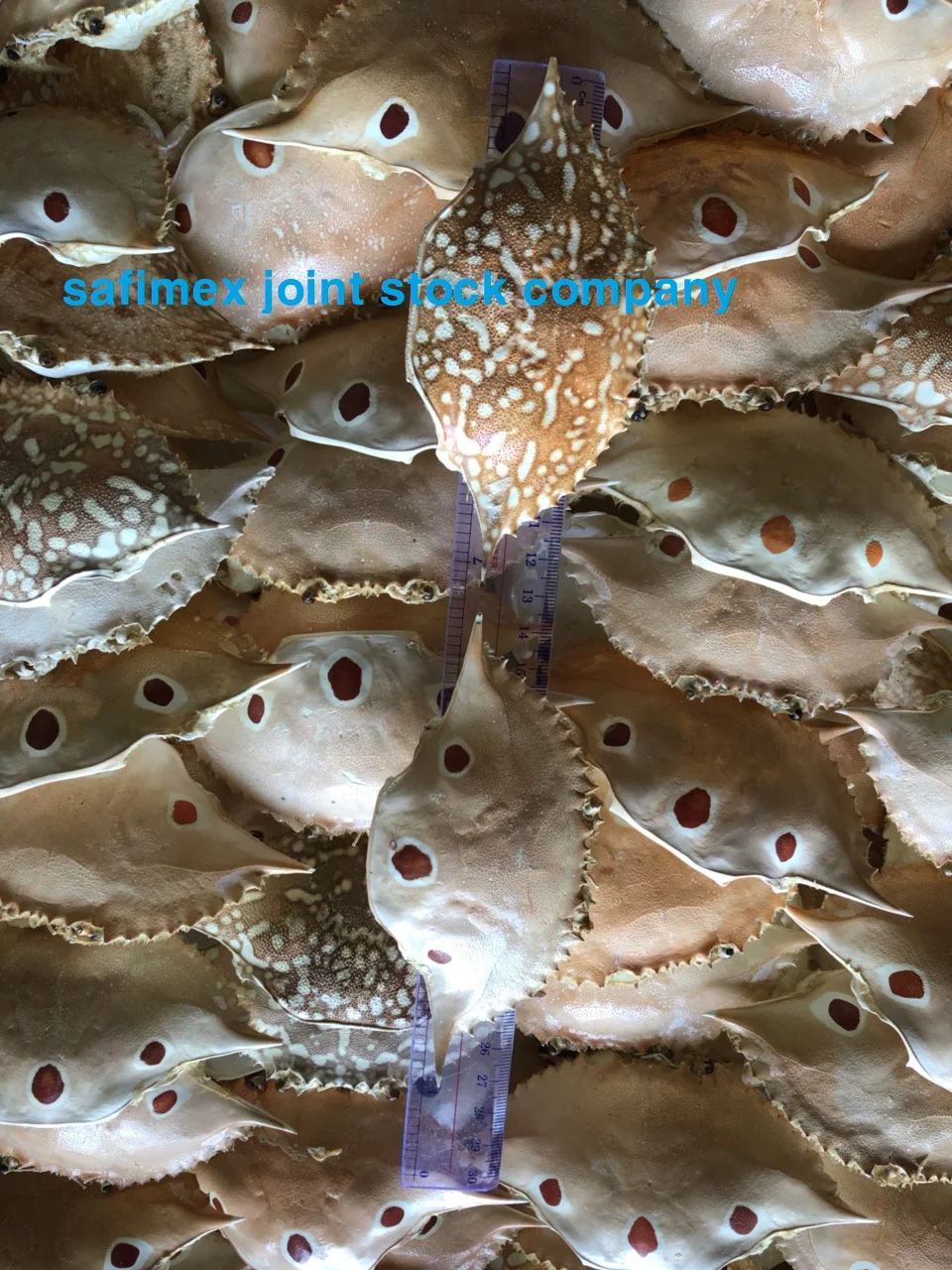 Dried Crab Shell