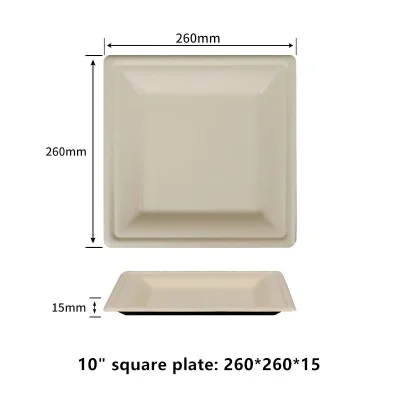 10 Inch Compostable Square Bagasse Dinner Plates