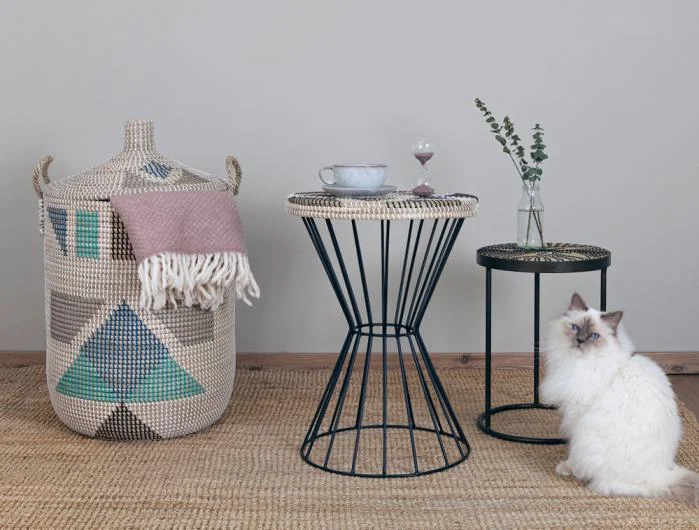 Furniture Items Collection