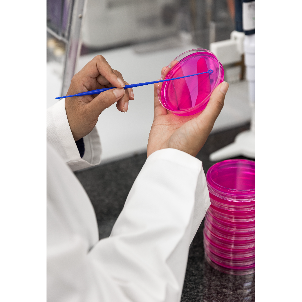 Food Product Research Formulation and Application Support