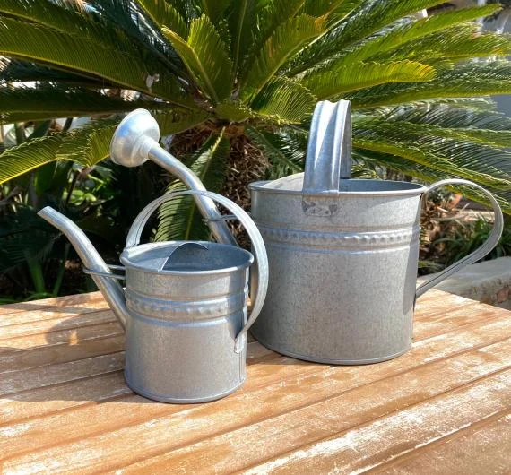 Metal Watering Can