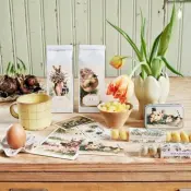 Seasonal Collections Product