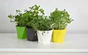 Heca Planter Collection