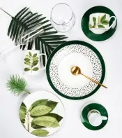 Fosuny Ceramic Tableware Collection