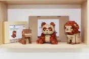 Wooden Bricks Product
