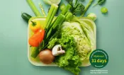 LocknLock Fresh Block Food Containers