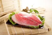 Dondurulmuş Tilapia Filetosu