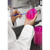 Food Product Research Formulation and Application Support