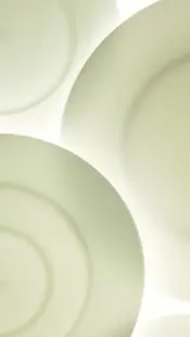 Dibbern Fine Bone China Tableware