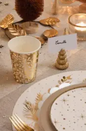 Paper Plates and Cups