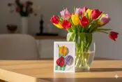 Handmade Quilling Cards