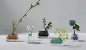 MICHI-KUSA Oval Decor