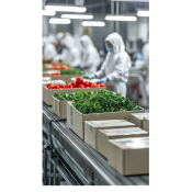 Food Processing