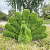 AniPlants Peacock Grass Figure