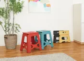 Tenma Foldable Step
