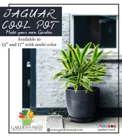 Jaguar Cool Plastic Pot