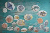 REEFセラミックコレクション