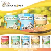Golden Flower 20 litri Barile rotondo