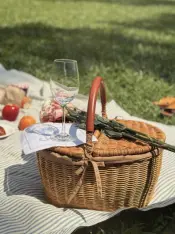 ZEN Country Picnic Basket