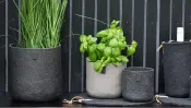 All Nature Outdoor Collection