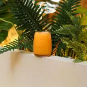 Kiwi Drinking Glassware