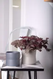 Decorative Flower Pots