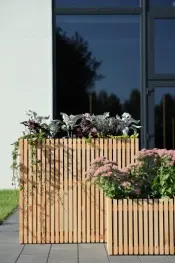 PATKAR Pinewood Planting Box