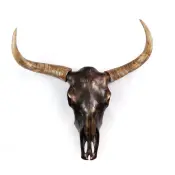 Wall Decor Decor