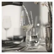 RITZENHOFF Glassware Polycarbonate Beverage
