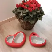 Pet Plastic Bowls