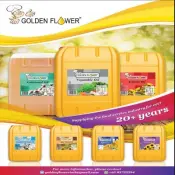 Golden Flower 20L 조리용 오일 제리캔