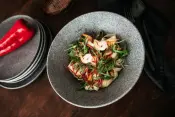 Granit farbige Porzellan für HoReCa