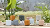 BORRALHEIRA MXT Collection Flower Pots