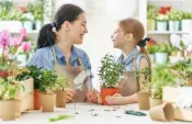 Sterk Plast Garden Products