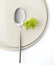 Cutipol MOON Flatware Collection