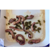 Ośmiornica w oleju w puszce z jalapeno