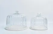 Glass Dome with Marble Base