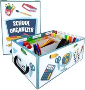 Lavatelli School Organizer Desk Tidy Box
