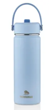 550ml Stainless Steel Sports Bottle with Straw Lid