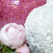 Des Pots BOUCLE Porcelain Shell Vase