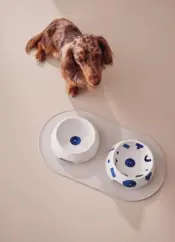 Itsumo Pet Yunoki Ware Seramik Kasalar