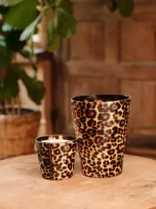 Candles Victoria gheoparde