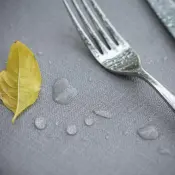 NouveauTech Coated Tablecloths