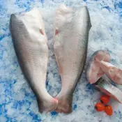Bütün Pangasius Balığı