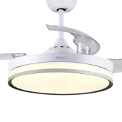 42 Inch Ceiling Fan with LED Light